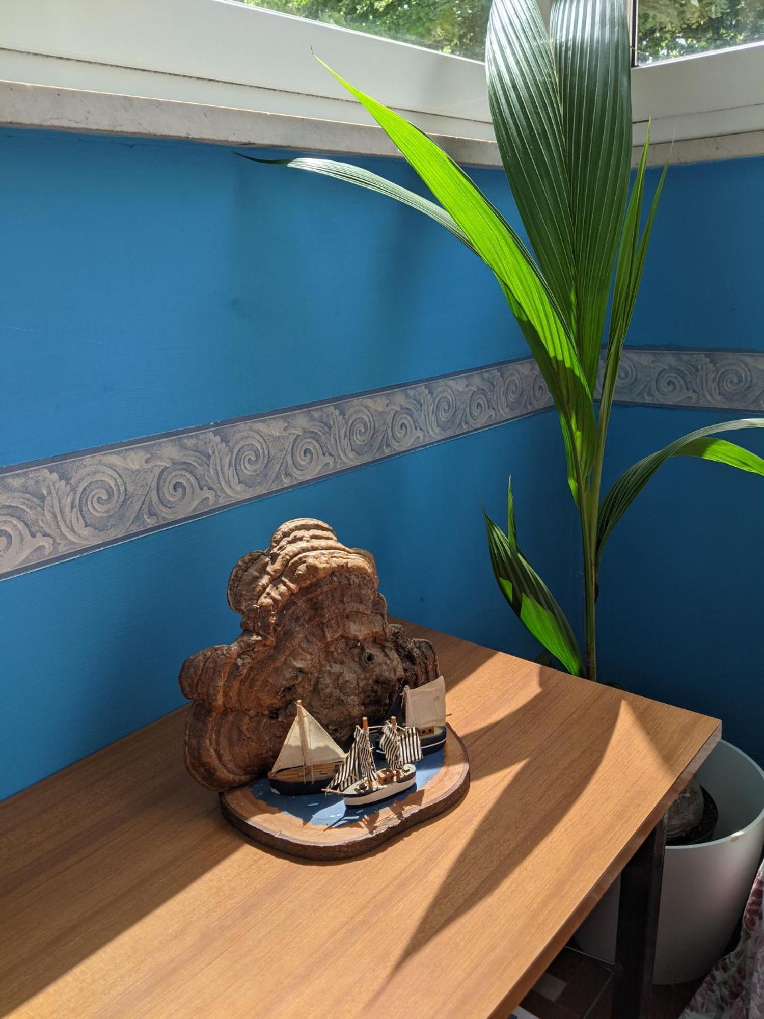 Hotel Bellevue Cesenatico Dış mekan fotoğraf